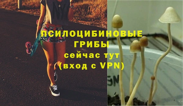 jwh Медвежьегорск