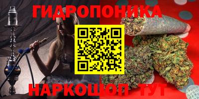 ECSTASY Донской